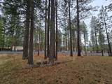 56548 Buckmaster Street - Photo 9