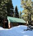 10 Fish Lake Tract G - Photo 2