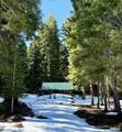 10 Fish Lake Tract G - Photo 21
