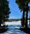 10 Fish Lake Tract G - Photo 32