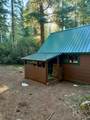 10 Fish Lake Tract G - Photo 34
