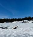 10 Fish Lake Tract G - Photo 39