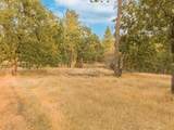 323 Eric Way - Photo 16