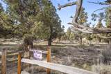 11137 Desert Sky Loop - Photo 26