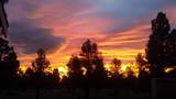 11137 Desert Sky Loop - Photo 28
