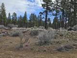 0 Canadian Honker Lane - Photo 9