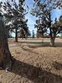 65320 Hwy 20 - Photo 40