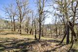 147 Warren Road - Photo 16