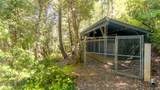 4901 Thompson Creek Road - Photo 22
