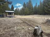 15676 River Drive - Photo 7