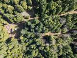 1259 Waldo Road - Photo 42