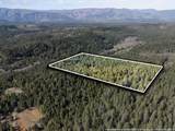 1259 Waldo Road - Photo 46