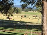 11010 Yonna Loop Drive - Photo 47