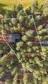 71085 Bracken Lane - Photo 28