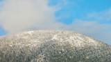 13210 Hawks Beard - Photo 55