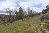 12550 Steelhead Falls Drive - Photo 24