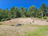  Shadow Mountain Way - Photo 4