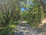  Shadow Mountain Way - Photo 5