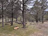 13076 Cedar Trail - Photo 50
