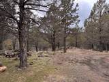 13076 Cedar Trail - Photo 51