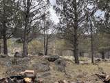 13076 Cedar Trail - Photo 52