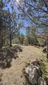 13076 Cedar Trail - Photo 53