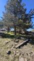 13076 Cedar Trail - Photo 54