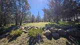 13076 Cedar Trail - Photo 55