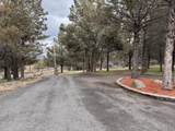 13076 Cedar Trail - Photo 58