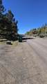 13076 Cedar Trail - Photo 59