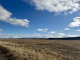 29327 Weaver Springs Road - Photo 52