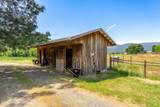 1247 Panther Gulch Road - Photo 51