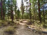 14165 Whitewater Loop - Photo 14
