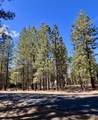 14165 Whitewater Loop - Photo 2