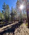 14165 Whitewater Loop - Photo 3