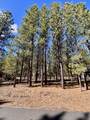 14165 Whitewater Loop - Photo 4