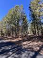 14165 Whitewater Loop - Photo 7