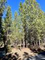 14171 Whitewater Loop - Photo 2