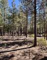 14171 Whitewater Loop - Photo 9