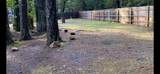 780 Lone Mountain Road - Photo 19