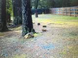 780 Lone Mountain Road - Photo 29