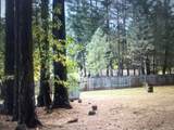 780 Lone Mountain Road - Photo 30