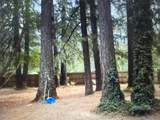 780 Lone Mountain Road - Photo 33