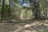 950 Bear Creek Road - Photo 24