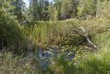 950 Bear Creek Road - Photo 27