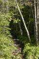 950 Bear Creek Road - Photo 34
