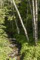 950 Bear Creek Road - Photo 36