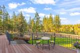 69485 Deer Ridge Road - Photo 66
