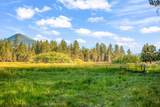 69485 Deer Ridge Road - Photo 73