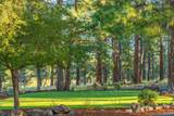 69485 Deer Ridge Road - Photo 76